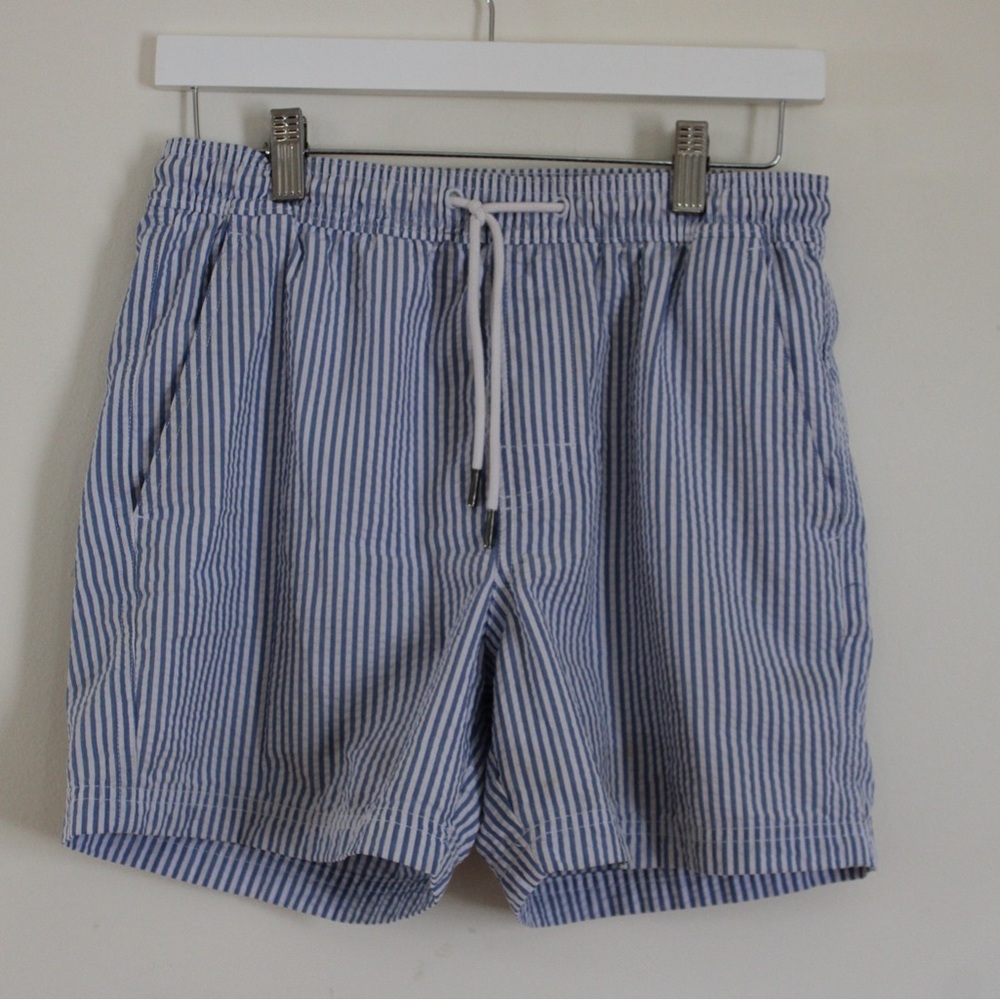 Blue and White Striped Swim shorts AE